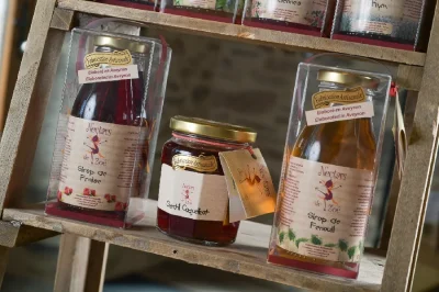 Les-Nectars-de-Zoe-8211-Preparation-de-fruits-et-sirops-artisanaux-8211-Le-Vibal_2243373