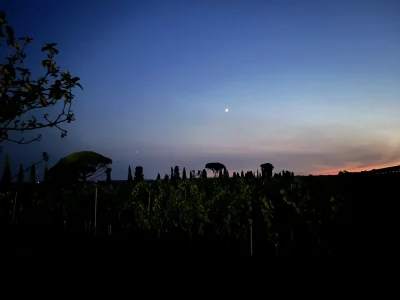 Les-Nuits-Atypiques-au-Domaine-de-Malagar-8211-19-06-2026-8211-Saint-Maixant_3484901