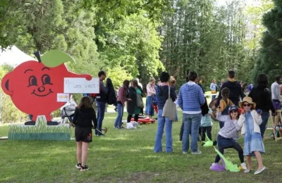 Les-Offs-8211-Les-Jeux-pour-Tous-8211-Festival-des-Veyracomusies-8211-14-05-2026-8211-Veyrac_3470591