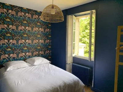 Les-Orchidees-8211-Razac-sur-l039Isle_2844141