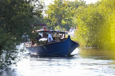 Les-Pinasses-du-Bassin_1132491