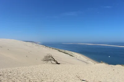 Les-Pistes-de-Robin-Les-secrets-de-la-Dune-du-Pilat-8211-La-Teste-de-Buch_1780355