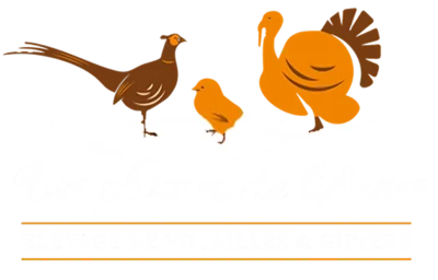 Les-Plumes-de-l039Arnes-8211-La-Neuville-en-Tourne-a-Fuy_2488451