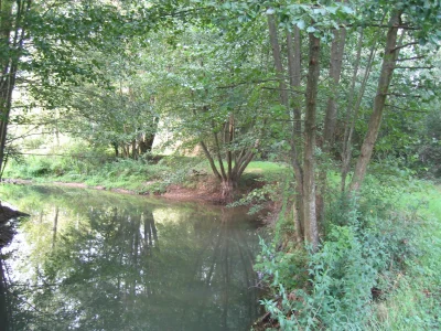 Les-Randonneurs-du-Bord-de-lOuanne-8211-Trigueres_2488872
