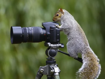 Les-Rencontres-Photographiques-en-Bastide-8211-22-06-2025-8211-Cadillac-sur-Garonne_2258560