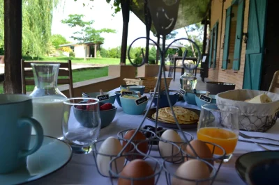 Les-Terrasses-des-Mimosas-8211-Caumont-sur-Garonne_3098491