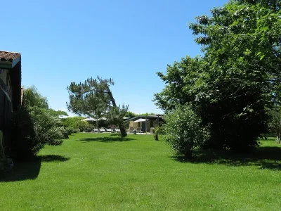 Les-Terrasses-des-Mimosas-8211-Gite-Les-Hortensias-8211-Caumont-sur-Garonne_3611314