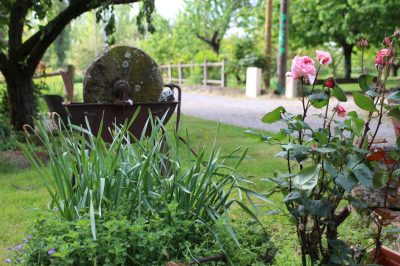 Les-Vergers-en-Perigord_100769