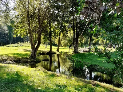Les-Viviers-du-Moulin-de-Langeais-8211-Langeais_2517944