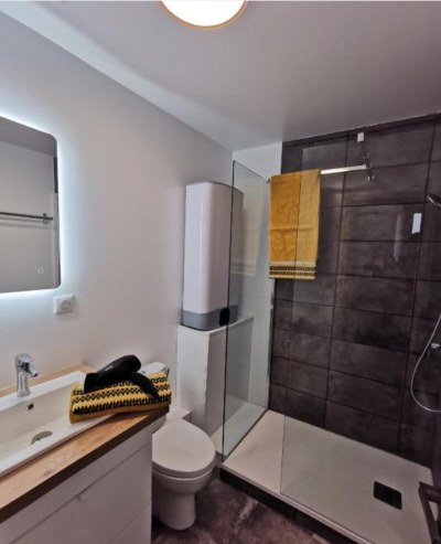 Les-appartements-du-centre-le-Sureau_94678