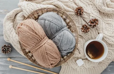 Les-ateliers-de-l039Inter039Val-Tricot-pour-tous-8211-24-02-2026-8211-Lugos_3485738