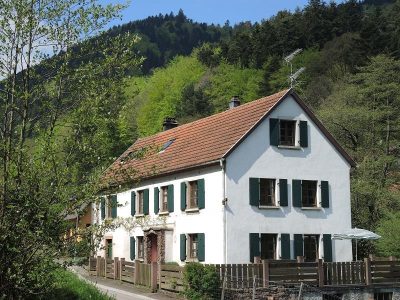 Les-bergeronnettes_160423