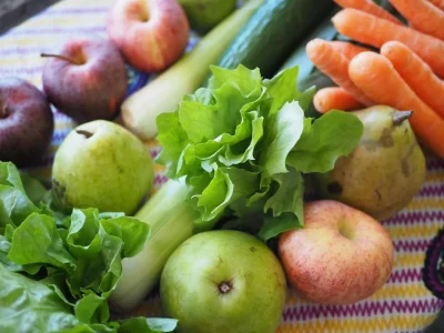 Les-bio-jardins-de-Beaumont-en-Beine-8211-Beaumont-en-Beine_3436948