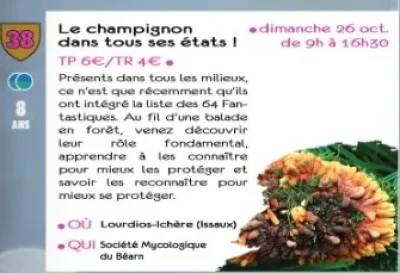 Les-champignon-dans-tous-ses-etats-8211-sortie-CPIE-8211-26-10-2025-8211-Lourdios-Ichere_2975607