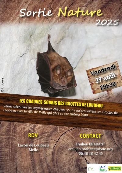 Les-chauves-souris-des-Grottes-de-Loubeau-8211-29-08-2025-8211-Melle_2613970