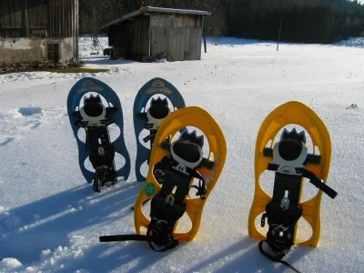 Les-circuits-raquette-de-La-Bresse-8211-La-Bresse_3075044