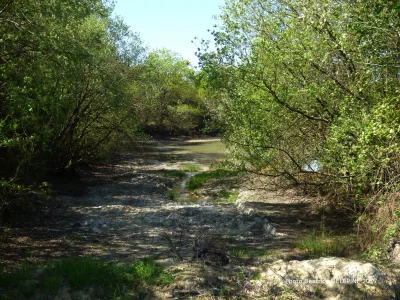 Les-communaux-de-l039Hopiteau-8211-Boussais_3834898