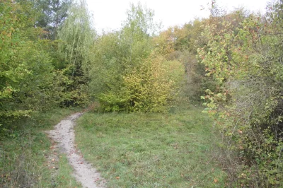 Les-coteaux-du-Therain-a-Fouquenies_600729