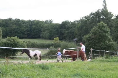 Les-ecuries-du-Trait-Blanc-8211-Argenton-sur-Creuse_1623683