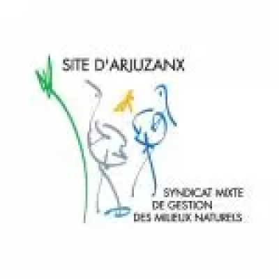 Les-grues-gourmandes-en-Pays-Morcenais-8211-Le-lever-8211-04-12-2026-8211-Morcenx-la-Nouvelle_3845043