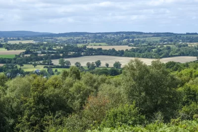 Les-landes-du-mont-Pincon_613827