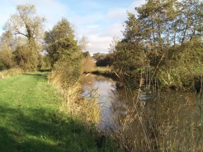 Les-marais-de-Neuilly-8211-Isigny-sur-Mer_3434129
