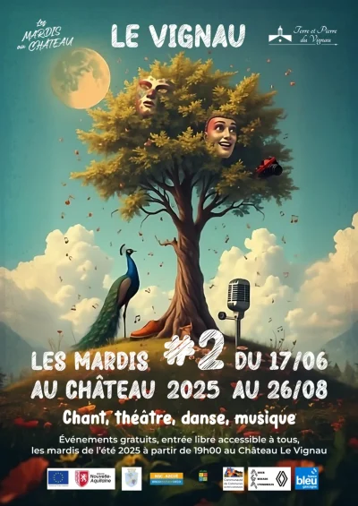 Les-mardis-au-Chateau-8211-Cinema-en-plein-air-quotHarry-Potterquot-8211-26-08-2025-8211-Le-Vignau_2732055