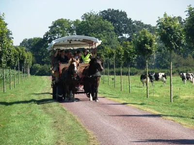 Les-p039tites-balades-en-attelage-1h-8211-Grandcamp-Maisy_2256859