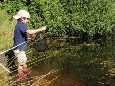 Les-petites-betes-de-l039etang-8211-06-08-2025-8211-Marcheprime_2356957