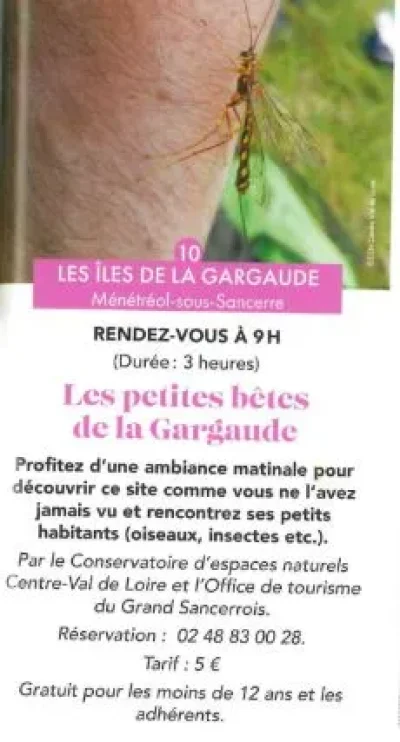Les-petites-betes-de-la-Gargaude-8211-06-08-2025-8211-Menetreol-sous-Sancerre_2585370
