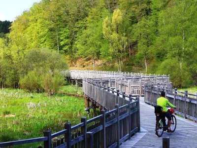 Les-pistes-cyclables-du-pays-de-Bitche-Walschbronn-8211-Bitche-8211-Saint-Louis-les-Bitche-50-km-8211-Bitche_3545670