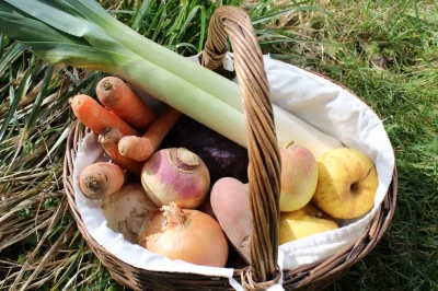 Les-saveurs-medievales-au-chateau-de-Ventadour-8211-31-07-2026-8211-Moustier-Ventadour_3475648