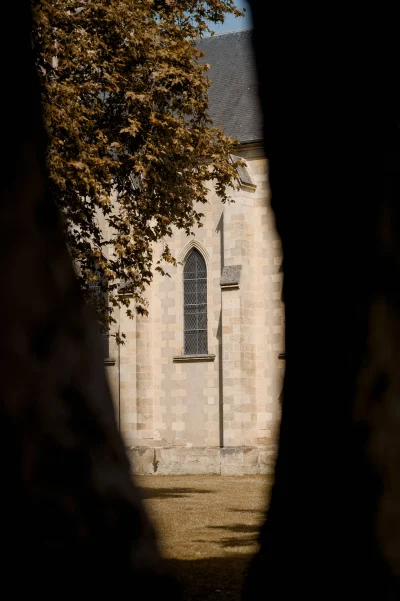 Les-secrets-de-la-pigne-d039or-8211-11-08-2025-8211-Marcheprime_2951315