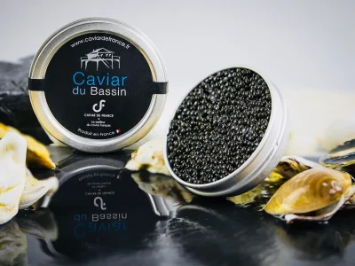 Les-secrets-du-caviar-visite-d039une-esturgeonniere-8211-11-09-2026-8211-Biganos_3767427