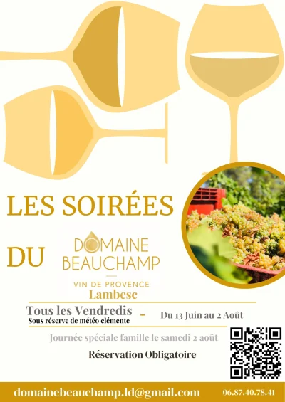 Les-soirees-du-Domaine-Beauchamp-8211-02-08-2025-8211-Lambesc_2727104