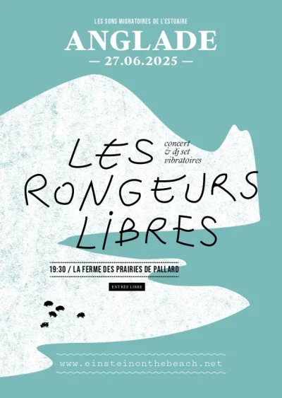Les-sons-migratoires-de-l039Estuaire-a-Anglade-8211-27-06-2025-8211-Anglade_2718767