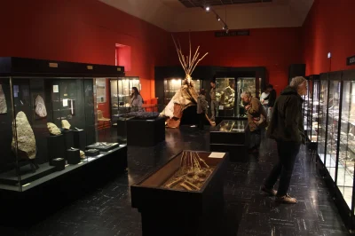 Les-vacances-au-musee-La-parure-prehistorique-8211-23-07-2026-8211-Perigueux_3620274