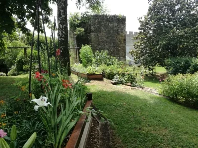 Les-vacances-d039ete-aux-Jardins-Panoramiques-de-Limeuil-8211-15-07-2025-8211-Limeuil_2797925