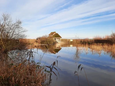 Les-zones-humides-un-patrimoine-commun-8211-01-02-2026-8211-Carentan-les-Marais_3326917
