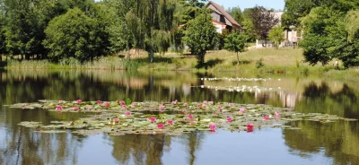 Liabaquet-gite-quotLa-Marmitequot-8211-Sarlande_3305363