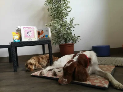 Lire-avec-les-chiens-8211-10-12-2025-8211-Biscarrosse_3166023