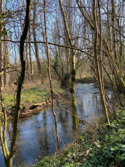 Location-6-personnes-Saint-Ouenne_107681