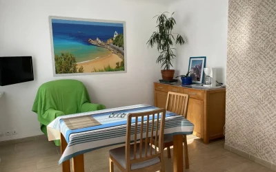Location-62-Dours-8211-Appt-4-8211-Cambo-les-Bains_3421177