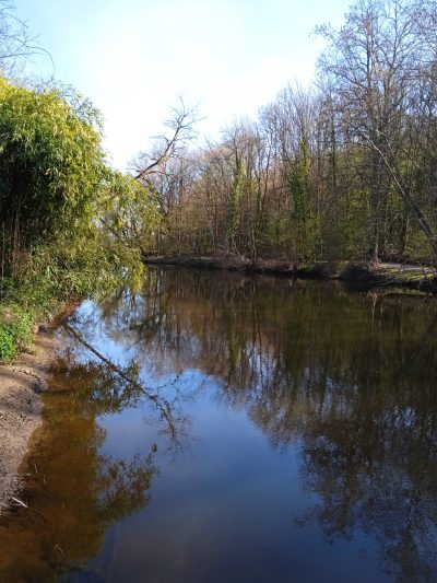 Location-Clevacances-MAUBEAU_111583