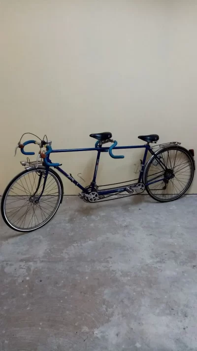 Location-de-Velo-Vintage-8211-Le-Trotteur_1099169