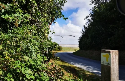 Location-de-velo-8211-Cap-Hornu-8211-Saint-Valery-sur-Somme_3282161