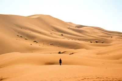 Lorand-Gaspar-quotPoete-du-desertquot-8211-04-10-2025-8211-Aix-Villemaur-Palis_2144951