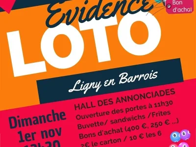 Loto-Evidence-8211-01-11-2026-8211-Ligny-en-Barrois_3843933