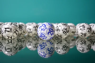 Loto-du-club-de-3em-age-La-fleur-de-lage-8211-01-03-2026-8211-La-Meyze_3486218