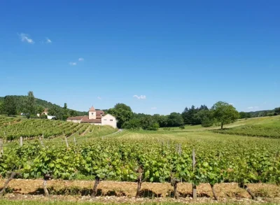 Lou-Pantayou-8211-Luzech_3244172